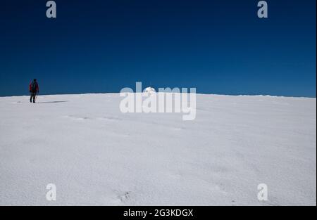 Wanderer auf dem Weg zum Gipfelsturm des Mt Bogong (1986 m), Victoria, Australien. Stockfoto