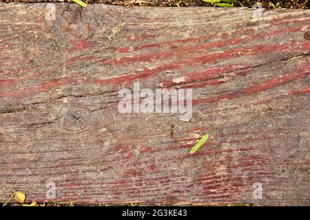 Textur von alten Holzbrettern mit abblätterndem Farbhintergrund Stockfoto
