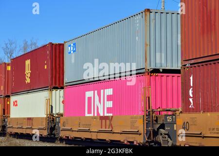 Elgin, Illinois, USA. Ein intermodaler Güterzug von Canadian National, der durch den Nordosten von Illinois fährt, Stockfoto