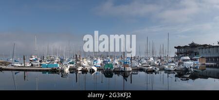 Oak Bay Marina, Victoria Stockfoto