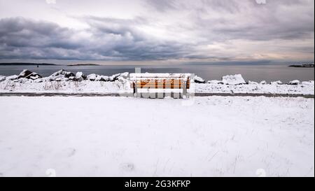 Parkbank im Schnee Stockfoto