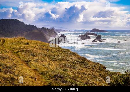 Cape Ferrelo Trail über dem Lone Ranch Beach im Samuel H. Boardman State Scenic Corridor im Süden von Oregon, USA an einem sonnigen Tag Stockfoto