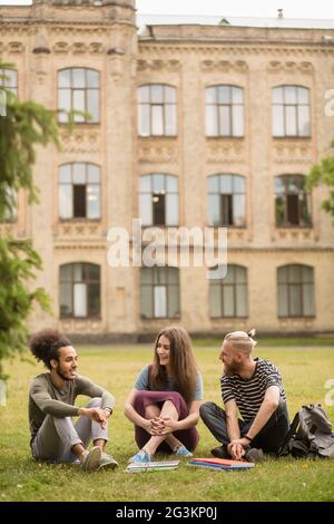 Studenten, die angeregte Unterhaltung auf Rasen sitzen. Stockfoto