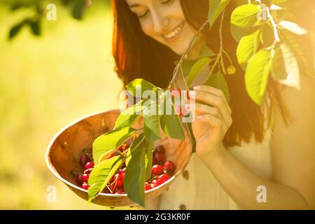 Close up Portrait von Ingwer schönes Mädchen pflücken Kirschen. Stockfoto