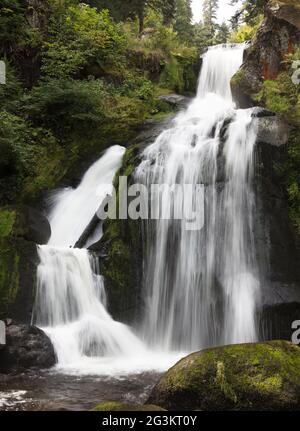 Triberger Wasserfälle, einer der höchsten Wasserfälle in Deutschland Stockfoto