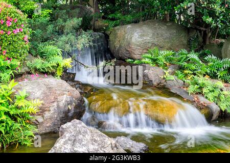 Wunderschöner Wasserfall in einem japanischen Garten, umgeben von üppigen asiatischen Pflanzen und Blumen Stockfoto