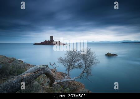 FRANKREICH. VAR (83) CAP DRAMONT. BLICK AUF DIE GOLDENE INSEL Stockfoto