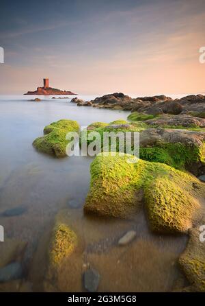 FRANKREICH. VAR (83) LE DRAMONT. BLICK AUF DIE GOLDENE INSEL VOM STRAND NAMENS PLAGE DU DEBARQUEMENT Stockfoto