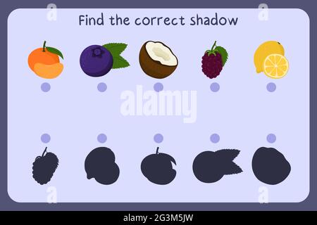Passende Kinder Lernspiel mit Lebensmitteln - Mandarine, Heidelbeere, Kokosnuss, Brombeere, Zitrone . Finden Sie den richtigen Schatten. Vektorgrafik. Stock Vektor
