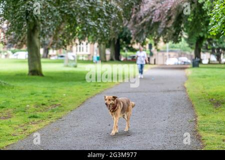 Northampton, Großbritannien. 17. Juni 2021 Menschen genießen die kühlere Morgenluft im Abington Park nach dem nächtlichen Regen Credit: Keith J Smith./Alamy Live News Stockfoto