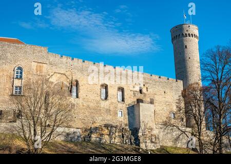 Blick auf die Burg Toompea und den hohen Herman-Turm auf dem Toompea-Hügel in der Altstadt von Tallinn. Estland, Die Baltischen Staaten, Europa Stockfoto