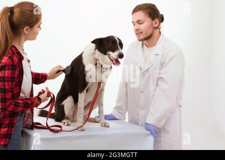 Hund, geprüft an der Tierklinik mit thir Eigentümer. Stockfoto