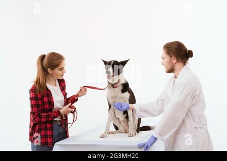 Hund, geprüft an der Tierklinik mit thir Eigentümer. Stockfoto