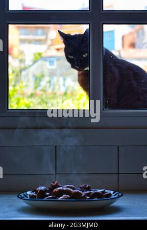 Schwarze Katze mit grünen Augen starrt von außerhalb des Fensters auf einen Pilzteller Stockfoto