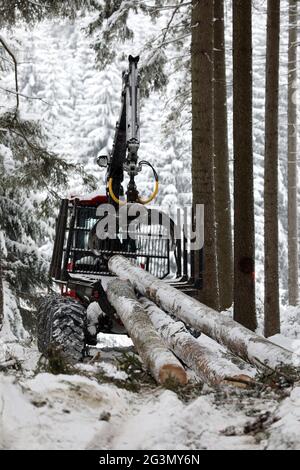 11.02.2021, Kretscham-Rothensehma, Sachsen, Deutschland - Deutschland - im Wald werden gefällte Baumstämme auf eine Baggerlader verladen. 00S210211D667CAROEX.JPG [M Stockfoto