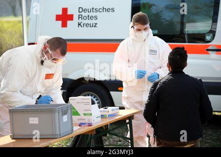 04.04.2021, Hoppegarten, Brandenburg, Deutschland - Mann beim Korona-Test am Deutschen Roten Kreuz. 00S210404D641CAROEX.JPG [MODELLVERSION: NEIN, EIGENTUM Stockfoto