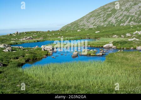 Hochlandsee in grüner Natur in Artvin Stockfoto