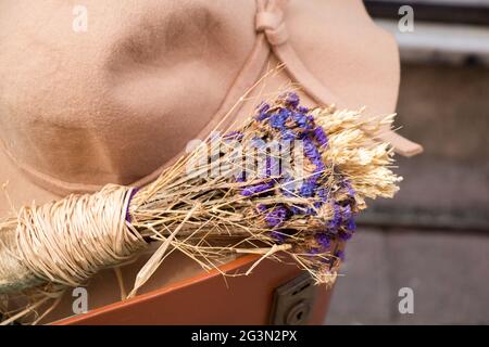 Erstaunliche bunte trockene Blumen im Blick Stockfoto