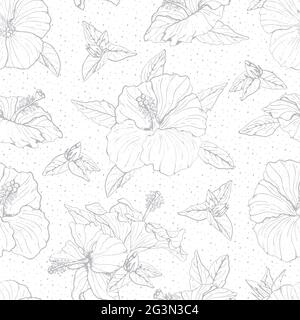 Monochromes, nahtloses Muster mit Linien-Art-grauen Hibiskusblüten, Knospen und Blättern mit grauem Umriss. Auf weißem Hintergrund. Stock Vektor