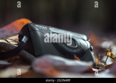 Alte Fotokamera inmitten der Äste und Blätter gefallener Bäume auf dem Waldboden, Vintage-Kamera, nikon ef100, schwarze Kamera Stockfoto