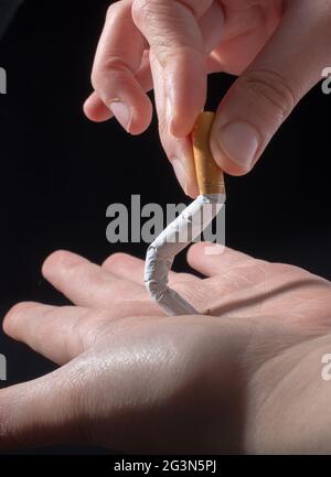 Hand bricht eine Zigarette auf schwarzem Hintergrund Stockfoto