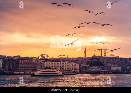 Möwen fliegen in Istanbul am Himmel Stockfoto