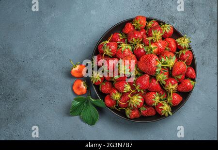 Reife Erdbeeren auf einem Teller auf einem grau-blauen Hintergrund mit Platz zum Kopieren. Sommerbeeren. Stockfoto