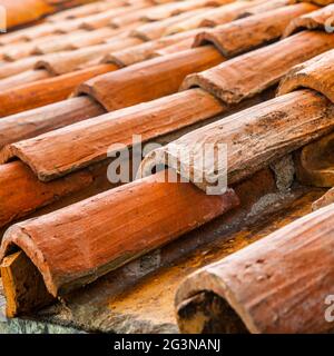 Altes Ziegeldach in Nahaufnahme. Bologna, Italien Stockfoto
