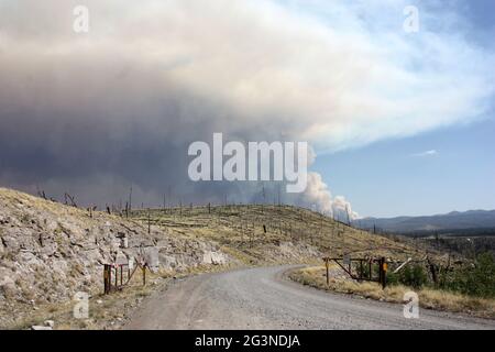 Anzeichen eines alten Waldbrands im Gila NF mit wabendem Rauch des aktuellen Johnson-Feuers im Hintergrund Stockfoto