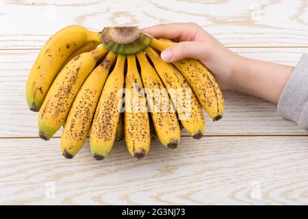 Hand hält ein paar gelbe Sommersprossen Bananen Stockfoto