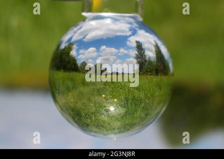 Linsenball im Feld Stockfoto