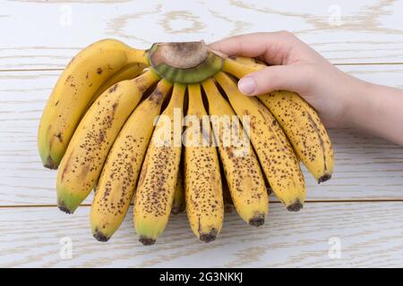 Hand hält ein paar gelbe Sommersprossen Bananen Stockfoto