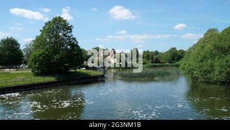 Der Fluss Ouse bei Eaton Socon, St Neots Cambridgeshire Wasserbäume und alte Mühle. Stockfoto