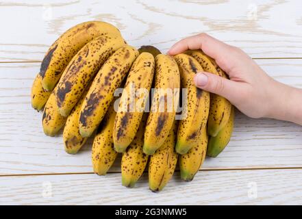 Hand hält ein paar gelbe Sommersprossen Bananen Stockfoto