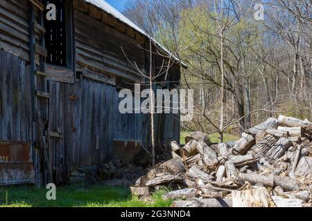 Seite einer alten Scheune und einem großen Holzstapel auf dem Grundstück. Stockfoto