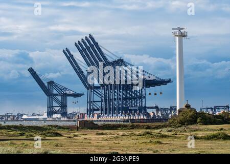 Die riesigen Container-Umschlagkrane im Hafen von Felixstowe vom Landguard Point aus gesehen - Juni 2017 Stockfoto