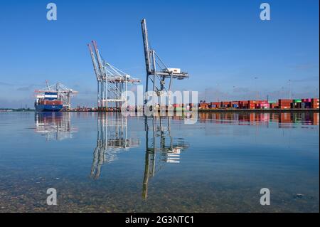 Eine reflektierende Großansicht eines Containerschiffes, das im Juni 2021 in der DP World-Anlage im Hafen von Southampton verladen wurde Stockfoto