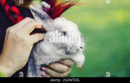 Hübsche Asiatin Hugging Bunny auf Sommer Natur Stockfoto