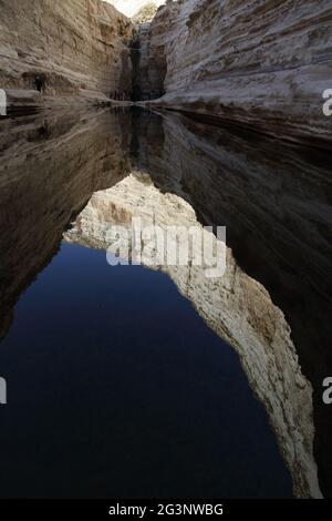 Wasserbecken in der Schlucht ein Mor in der Nähe von Avdat, Negev-Wüste, wandern Wanderer am Fuß der linken Klippe, Spiegelung im Wasser der sonnenbeschienenen Klippe Stockfoto