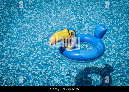 Aufblasbares Pelican Pool Spielzeug Im Leeren Pool. Aufblasbares Pelican Pool Spielzeug Schwimmend Im Blauen Wasser. Leerer Kopierplatz auf der linken Seite. Stockfoto