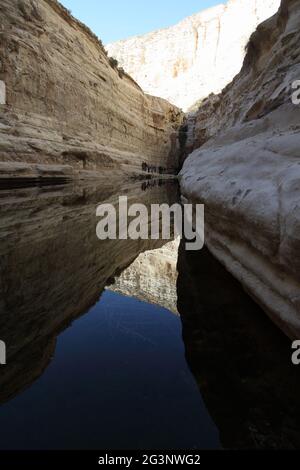 Wasserbecken in der Schlucht ein Mor in der Nähe von Avdat, Negev-Wüste, wandern Wanderer am Fuß der linken Klippe, Spiegelung im Wasser der sonnenbeschienenen Klippe Stockfoto