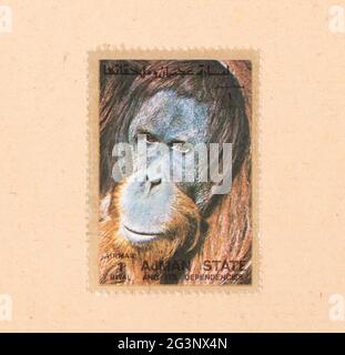 Vereinigte Arabische Emirate - ca. 1980: einen Stempel in den VAE gedruckt zeigt ein Orang-utan, ca. 1980 Stockfoto