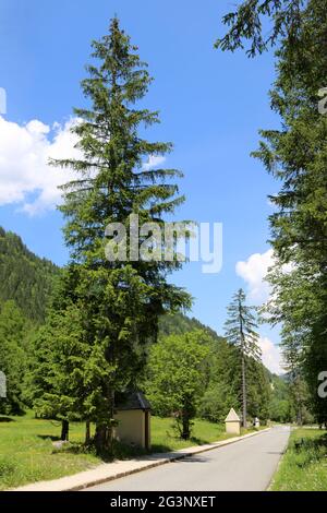 Chapelles. Chemin de Croix. Route de Notre-Dame de la Gorge. Les Contamines-Montjoie. Haute-Savoie. Auvergne-Rhône-Alpes. Frankreich. Stockfoto