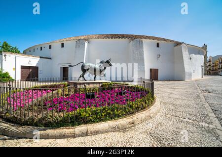 Eine Weitwinkelansicht der plaza de toro´s im Zentrum der Altstadt von Ronda in Südspanien Stockfoto