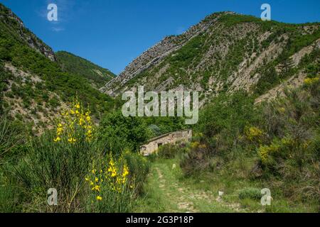 Regionaler Park die provenzalischen Baronien Stockfoto