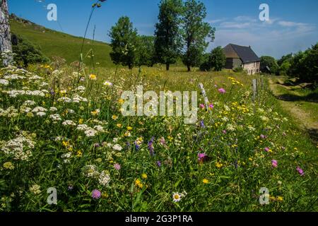 Regionaler Park die provenzalischen Baronien Stockfoto