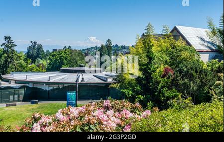 Blick auf den Mount Rainier mit Gebäude im Vordergrund. Stockfoto