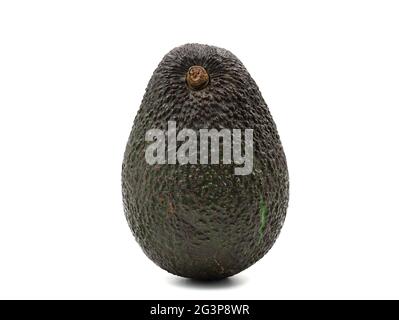 RIPE hass Avocado isoliert auf weißem Hintergrund, Vorderansicht der ganzen Frucht Stockfoto