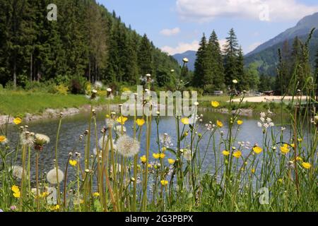 Lac de pêche de du Pontet. Les Contamines-Montjoie. Haute-Savoie. Auvergne-Rhône-Alpes. Frankreich. Stockfoto