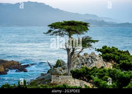 17 Meilen Fahrt am Pebble Beach um den Sonnenuntergang Stockfoto